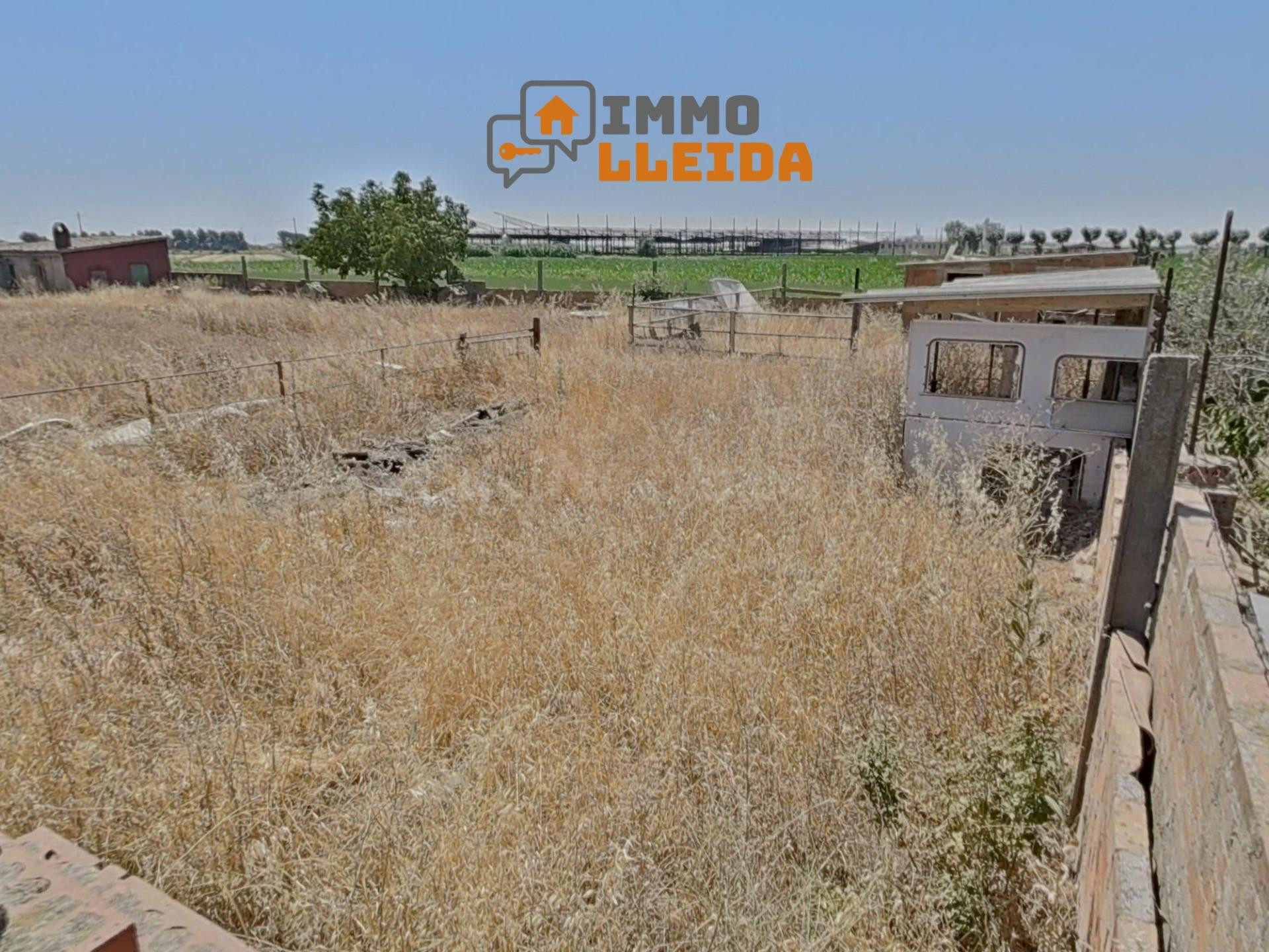 Terreno rústico de uso agrario en venta – 1.734 m2 - foto 2