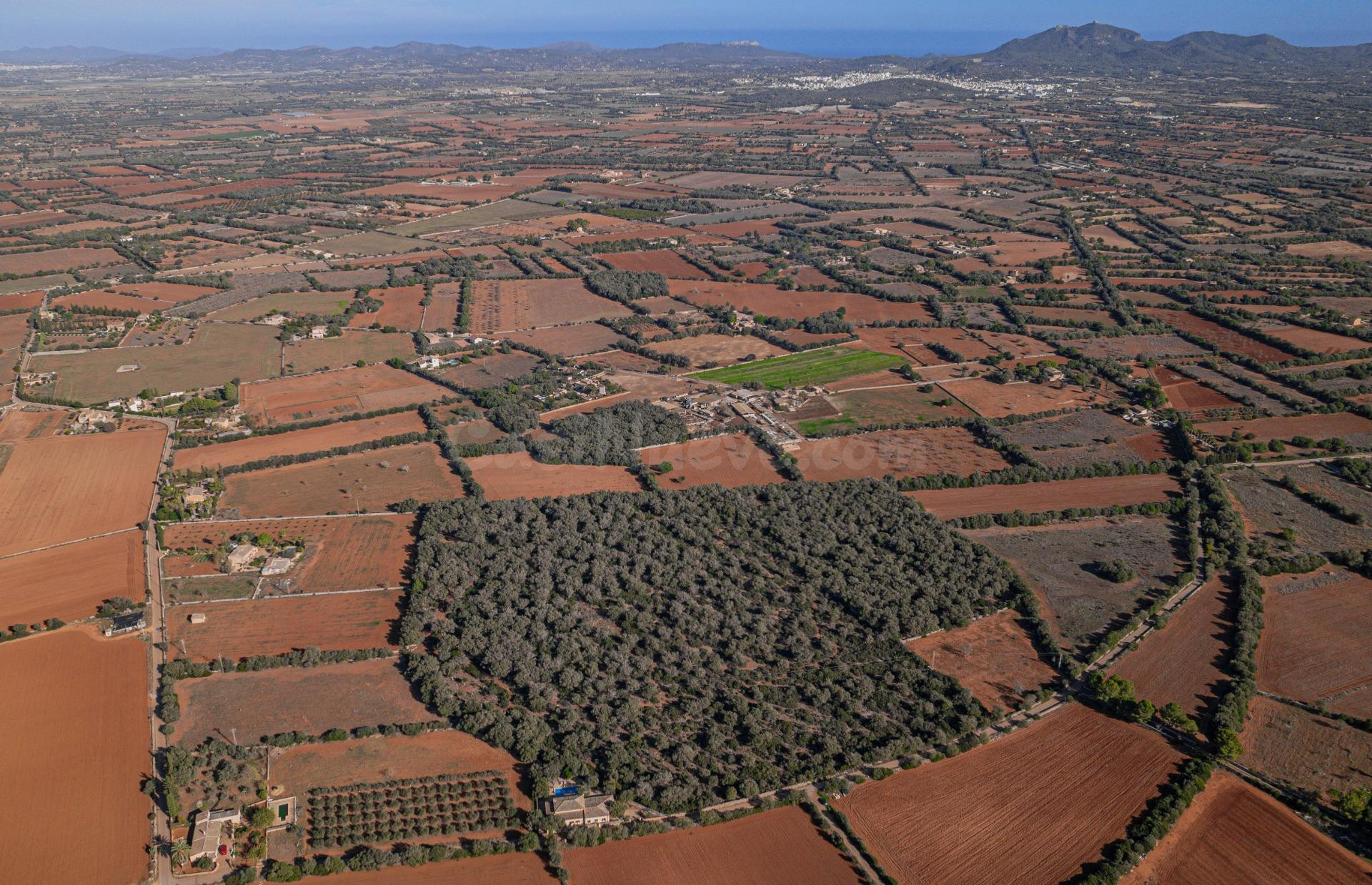 Terreno edificable en Felanitx - foto 3