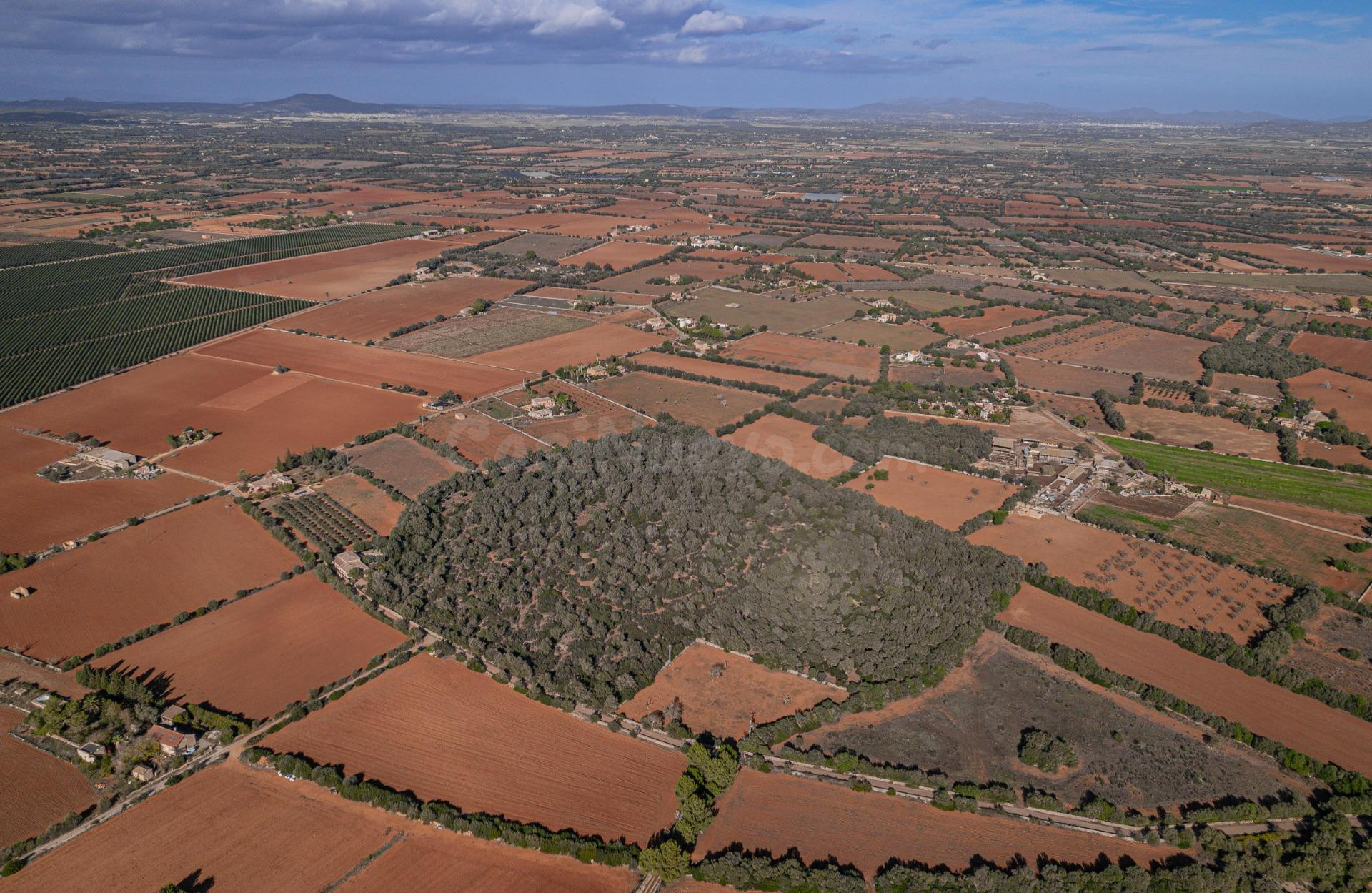 Terreno edificable en Felanitx - foto 4