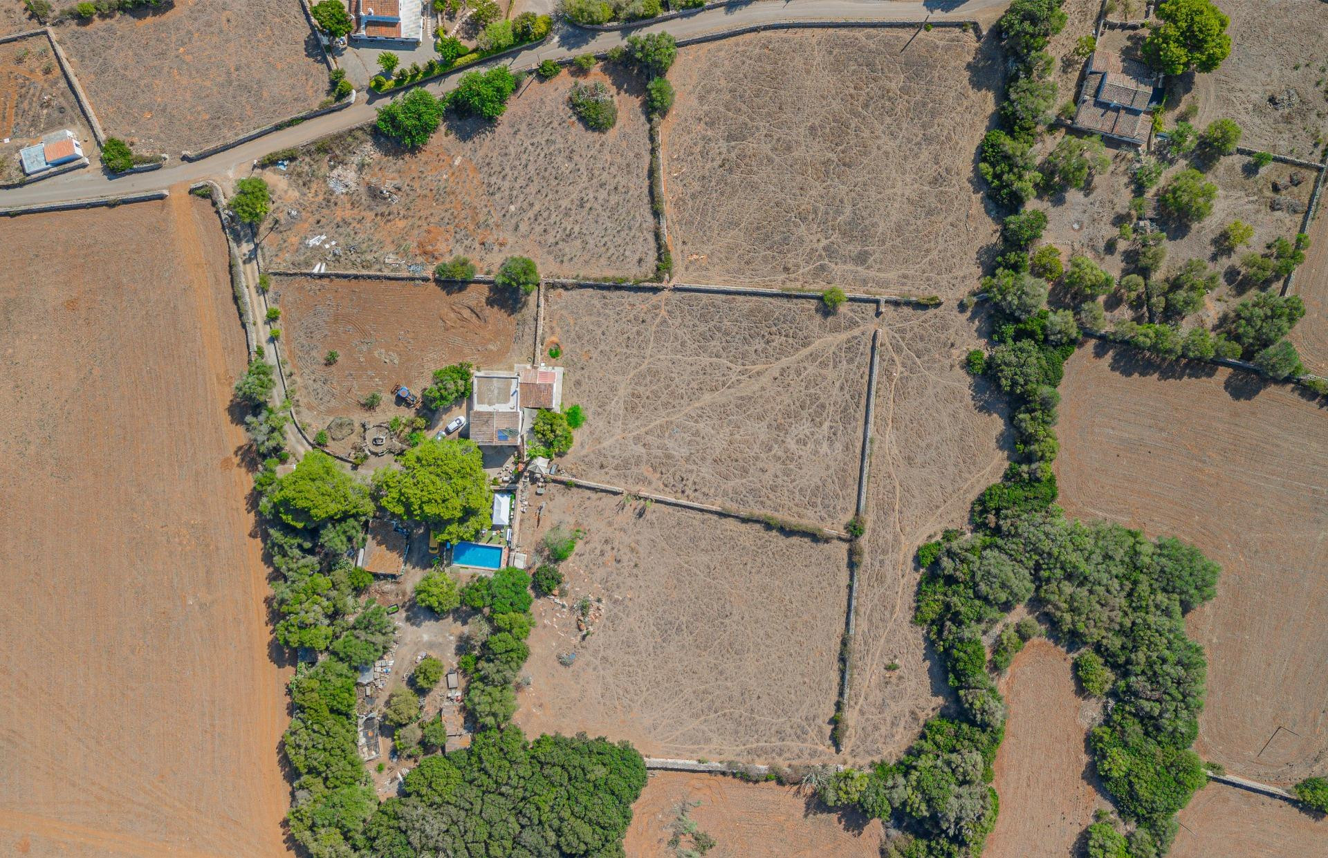 Finca rústica con viñedos y chalet tradicional en Mahón. - foto 3