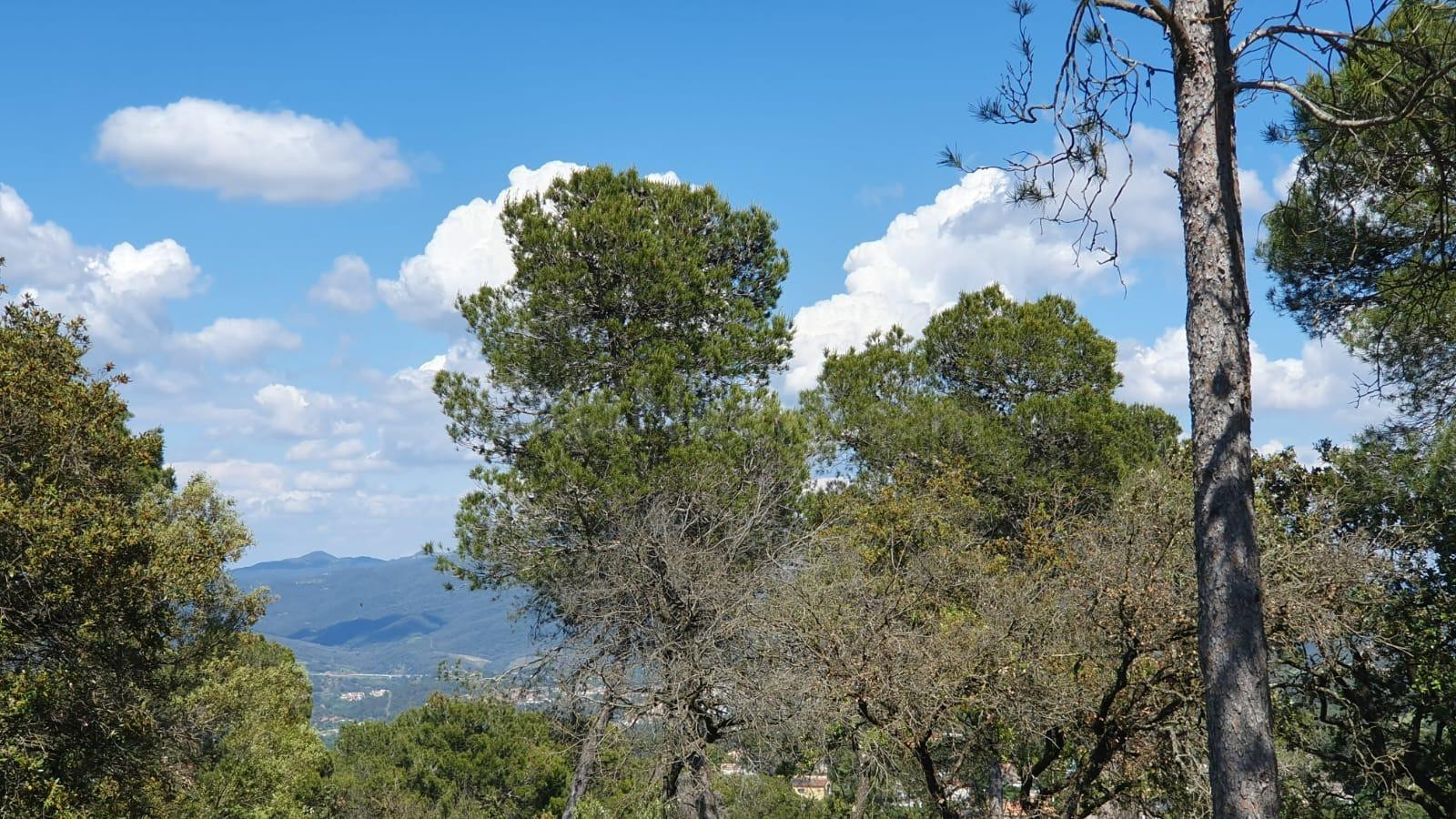 Terreno urbano en venta - Les Pinedes de l´Armengol - foto 5