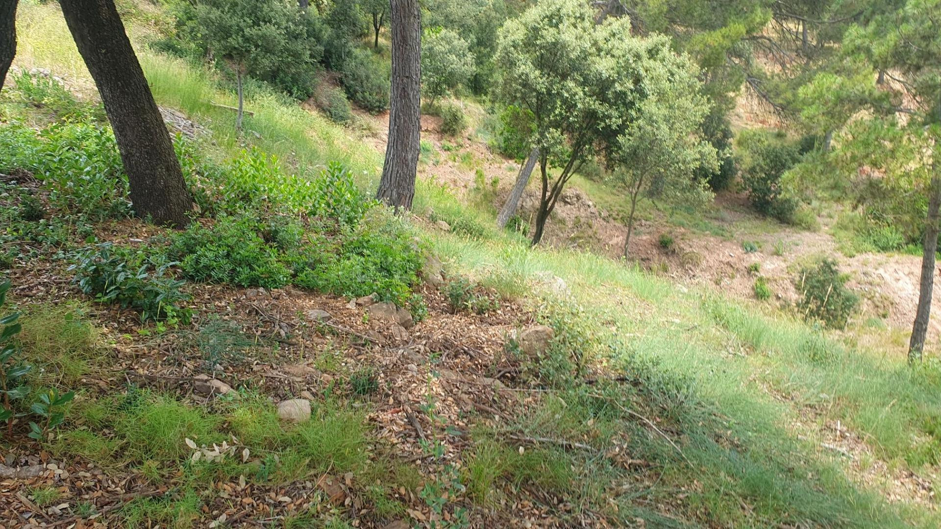 Parcela en venta en La Figuerola – Castellnou de Bages - foto 3