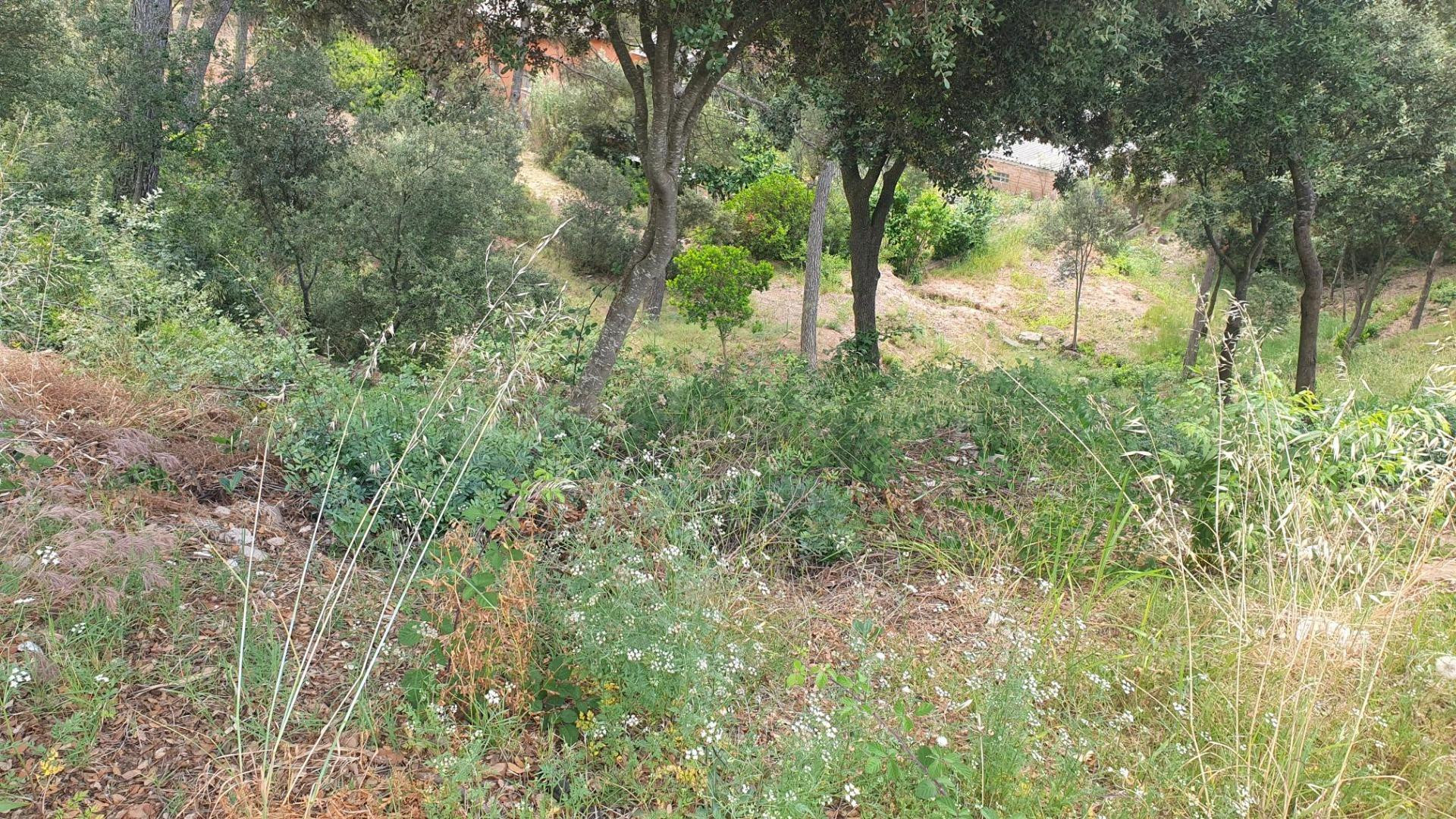Parcela en venta en La Figuerola – Castellnou de Bages - foto 4