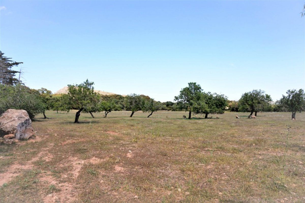 Parcela 200m² en venta - Artà - foto 2