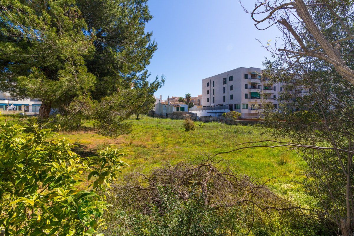 Parcela 60m² en venta - Cala Ratjada