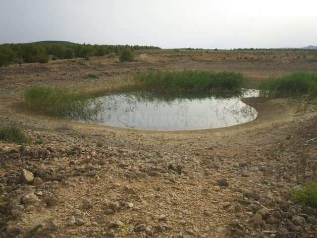 Parcela en venta - Yecla - foto 2