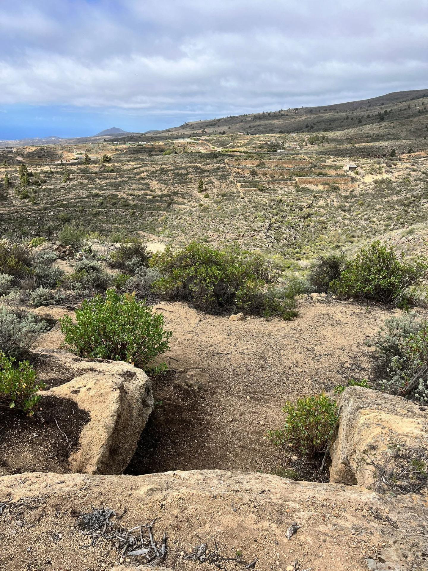 TERRENO RURAL EN VENTA EN ARICO VIEJO – Sur de Tenerife - foto 2