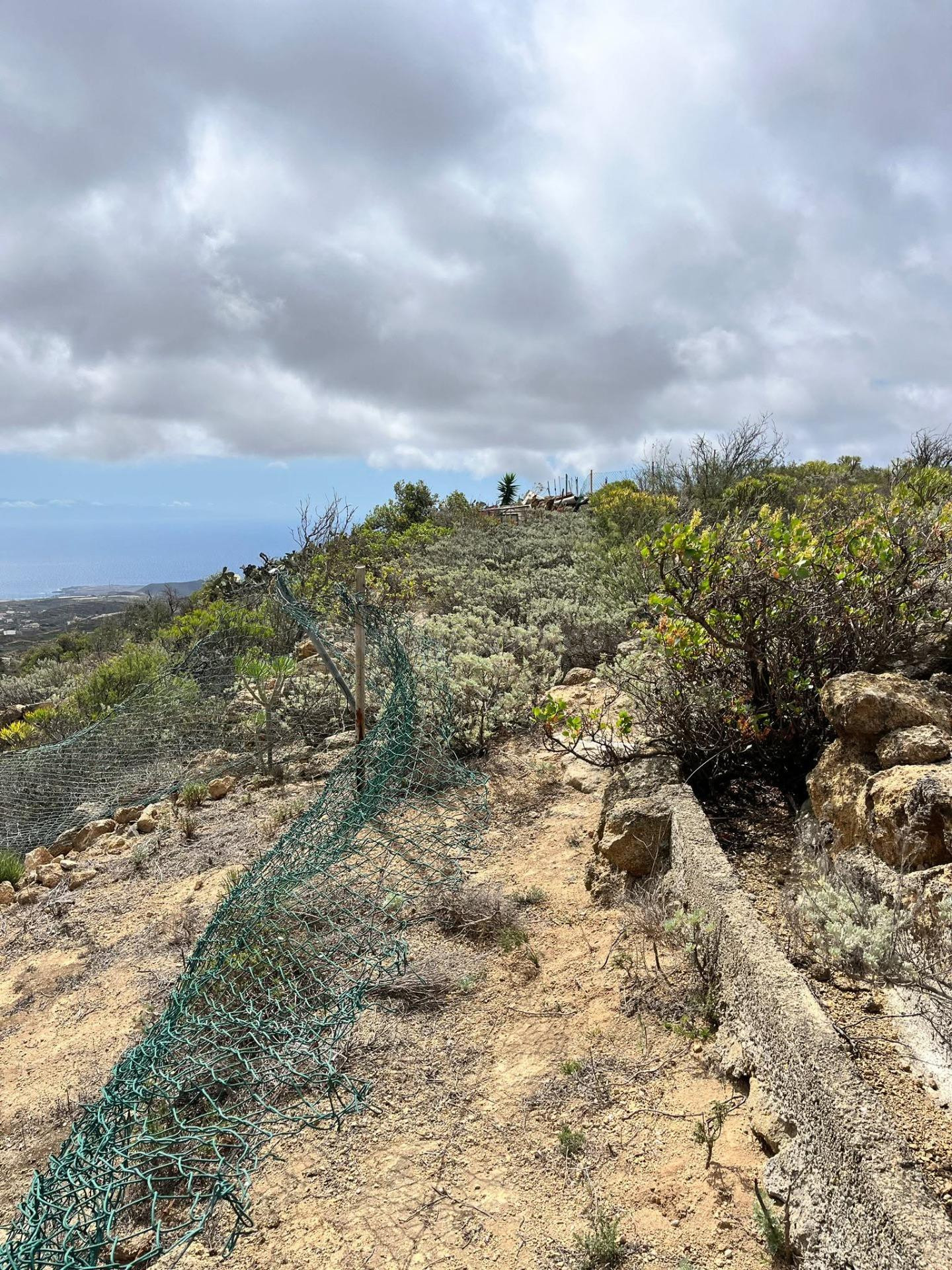 TERRENO RURAL EN VENTA EN ARICO VIEJO – Sur de Tenerife - foto 3