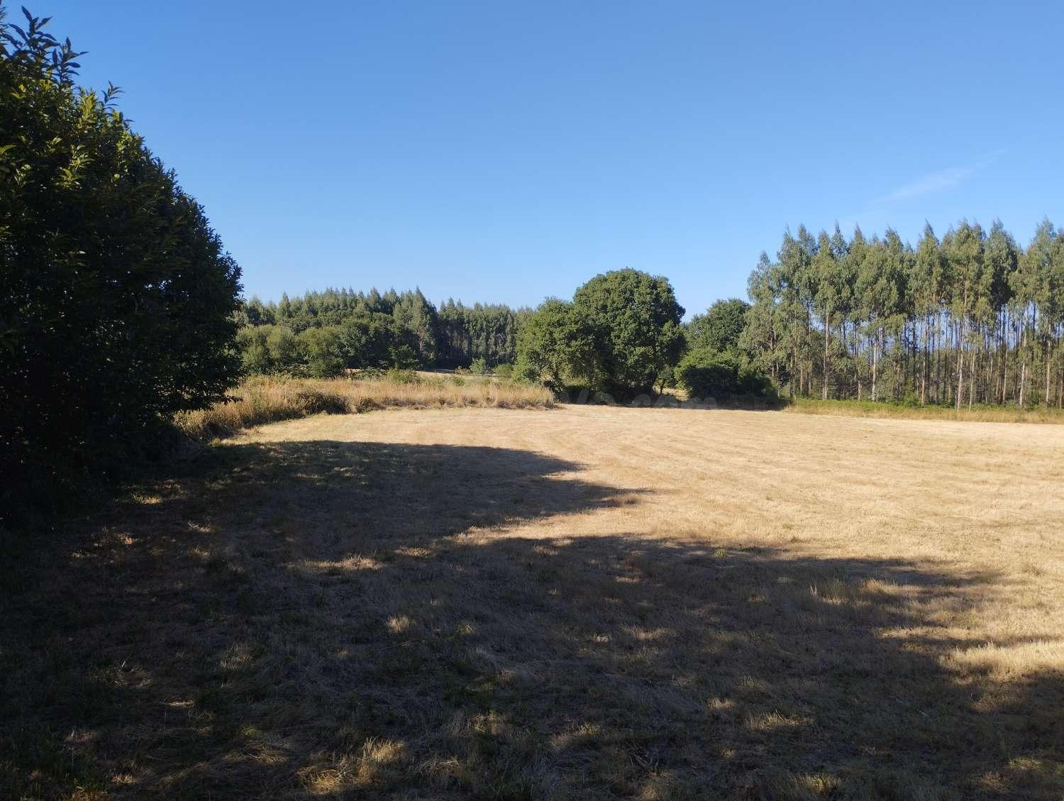 Finca en A Sabugeira, Begonte, Lugo - foto 3