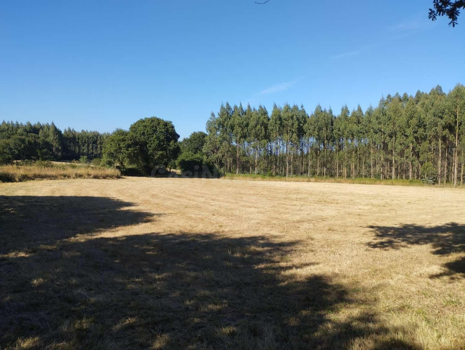 Finca en A Sabugeira, Begonte, Lugo - foto 4