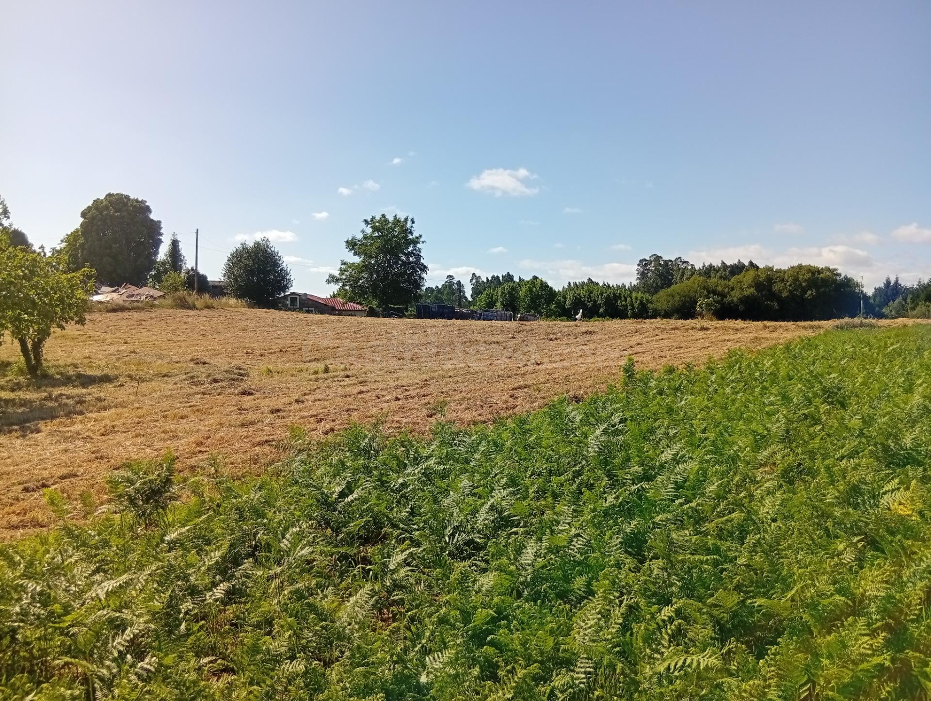 Terreno urbano en Laraxe, Cabanas. - foto 3