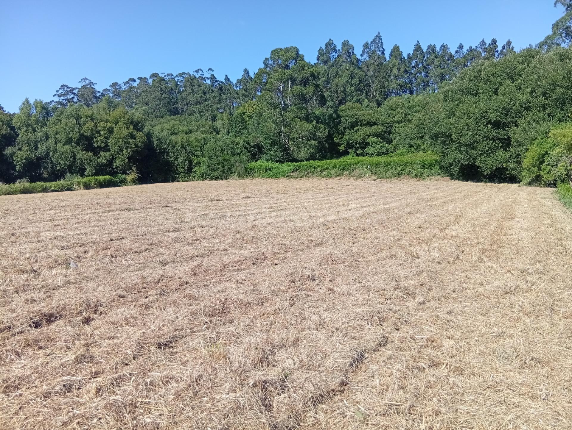 Terreno urbano en Laraxe, Cabanas. - foto 5