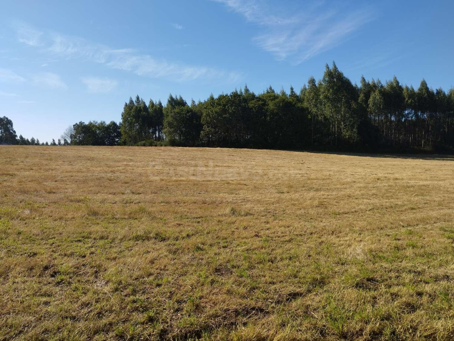 Finca rústica en Begonte, Lugo. - foto 3