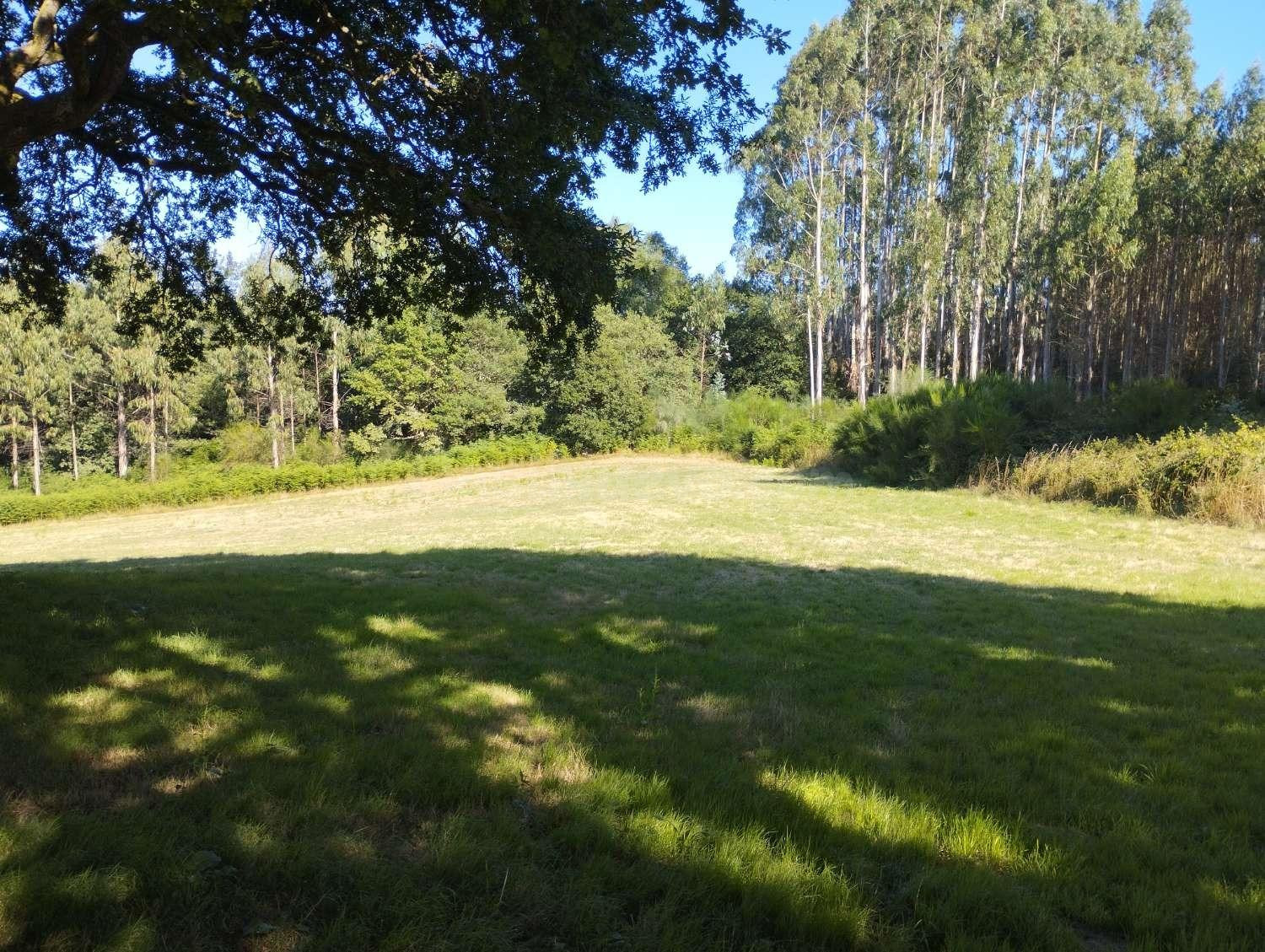 Finca rústica en Begonte, Lugo. - foto 4