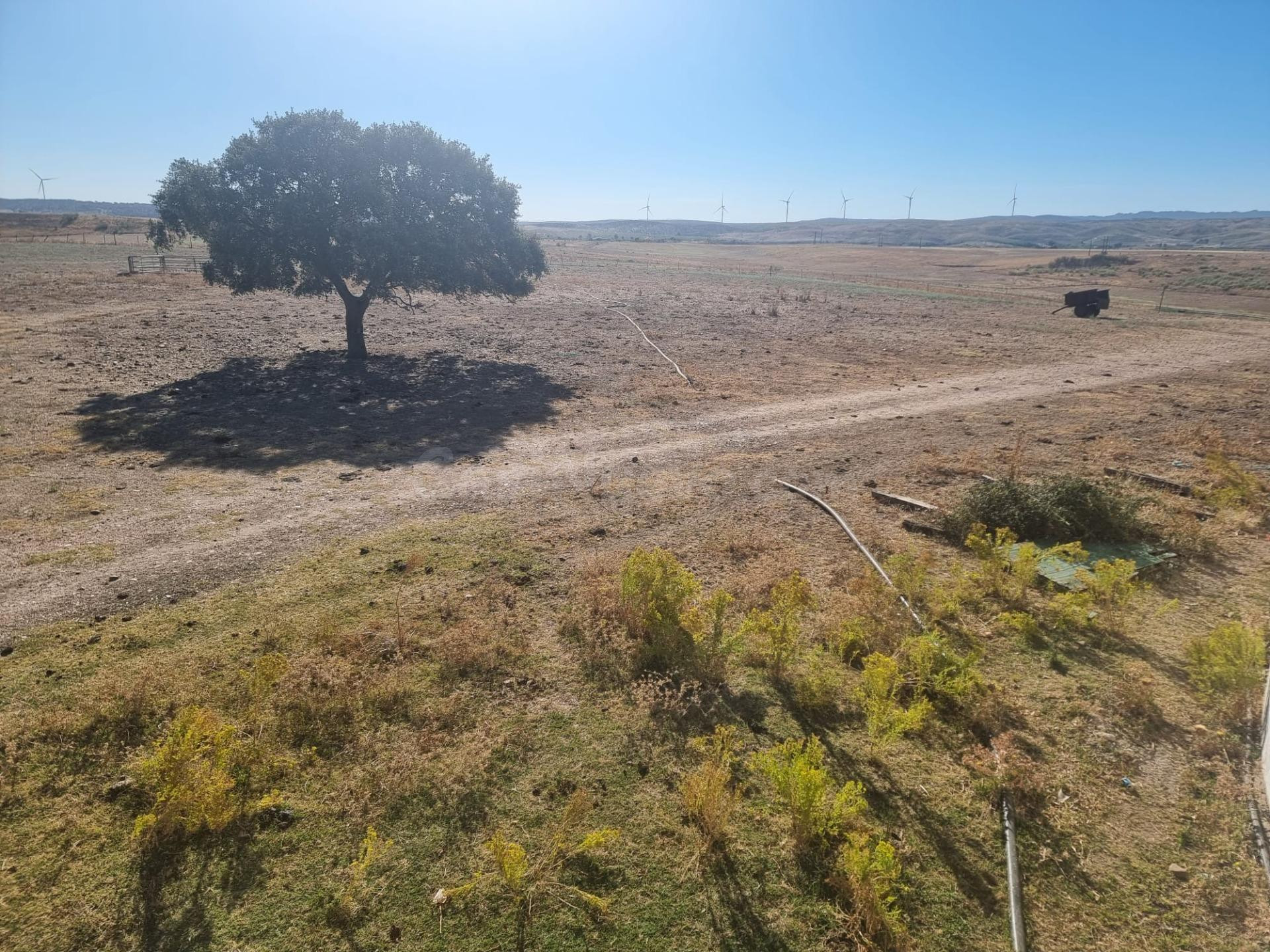 ¡Finca de 40 Hectáreas en Galisteo! Ideal para para  Proyect - foto 2