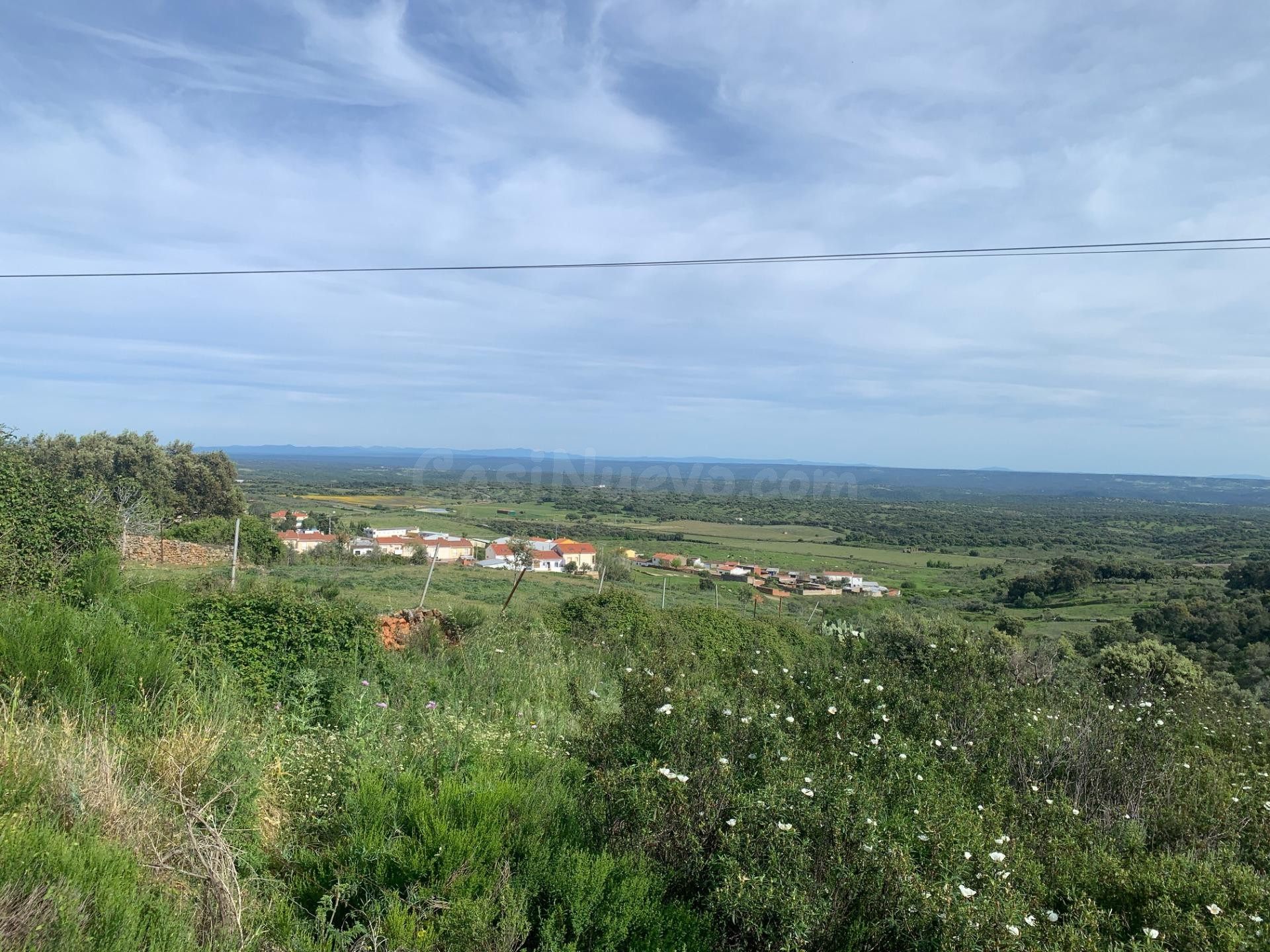 Paraje Carboneras, Casas de Millán - foto 5