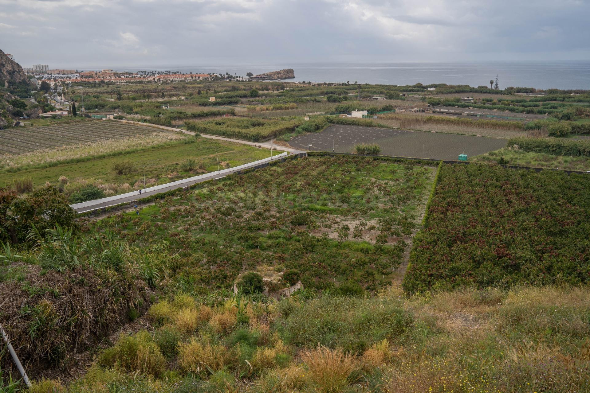 Gran Finca con unas vistas de ensueño en Salobreña!!!