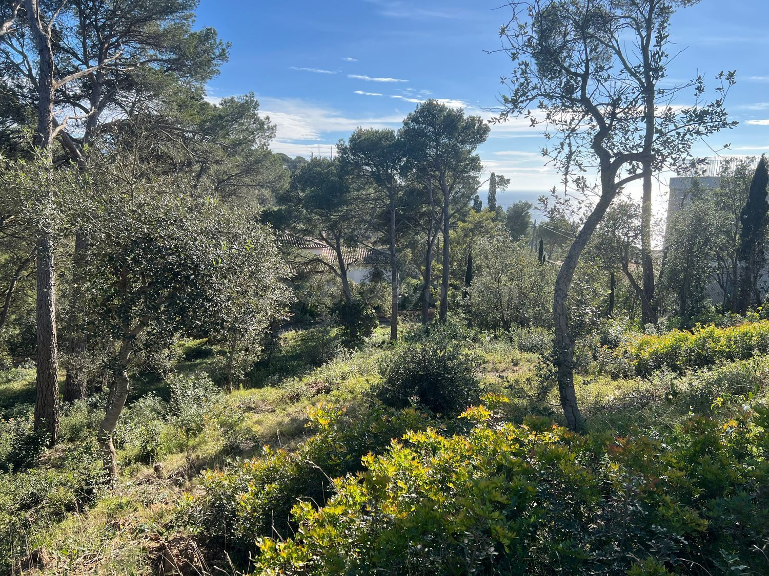 Terreno urbanizable 363m² en venta - Llafranc - foto 2