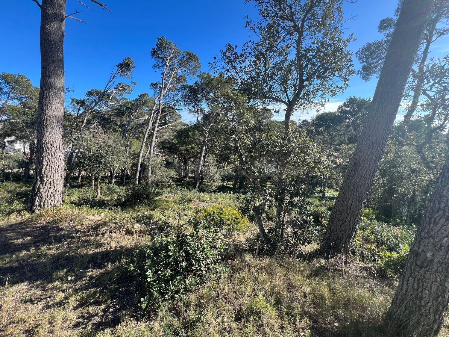Terreno urbanizable 363m² en venta - Llafranc - foto 3
