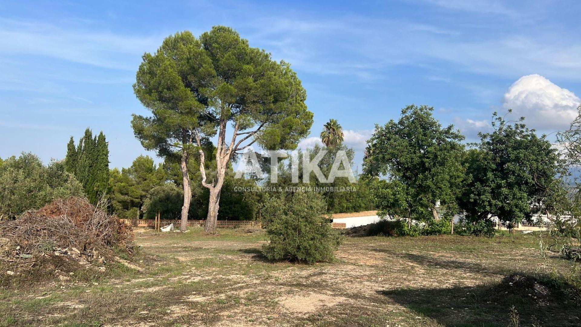 TERRENO LISTO PARA CONSTRUIR - EL PILAR - ONTINYENT
