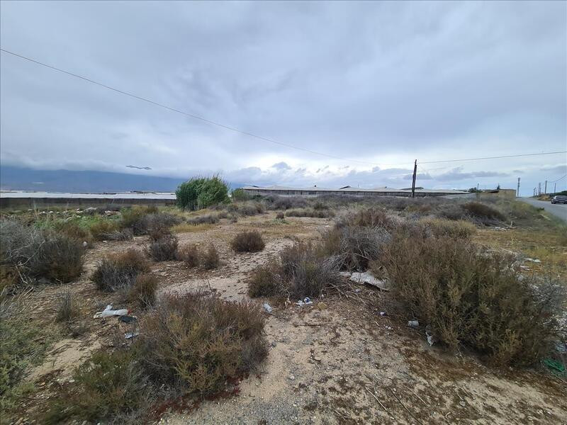 Venta de Suelo Urbano Terciario en El Ejido
