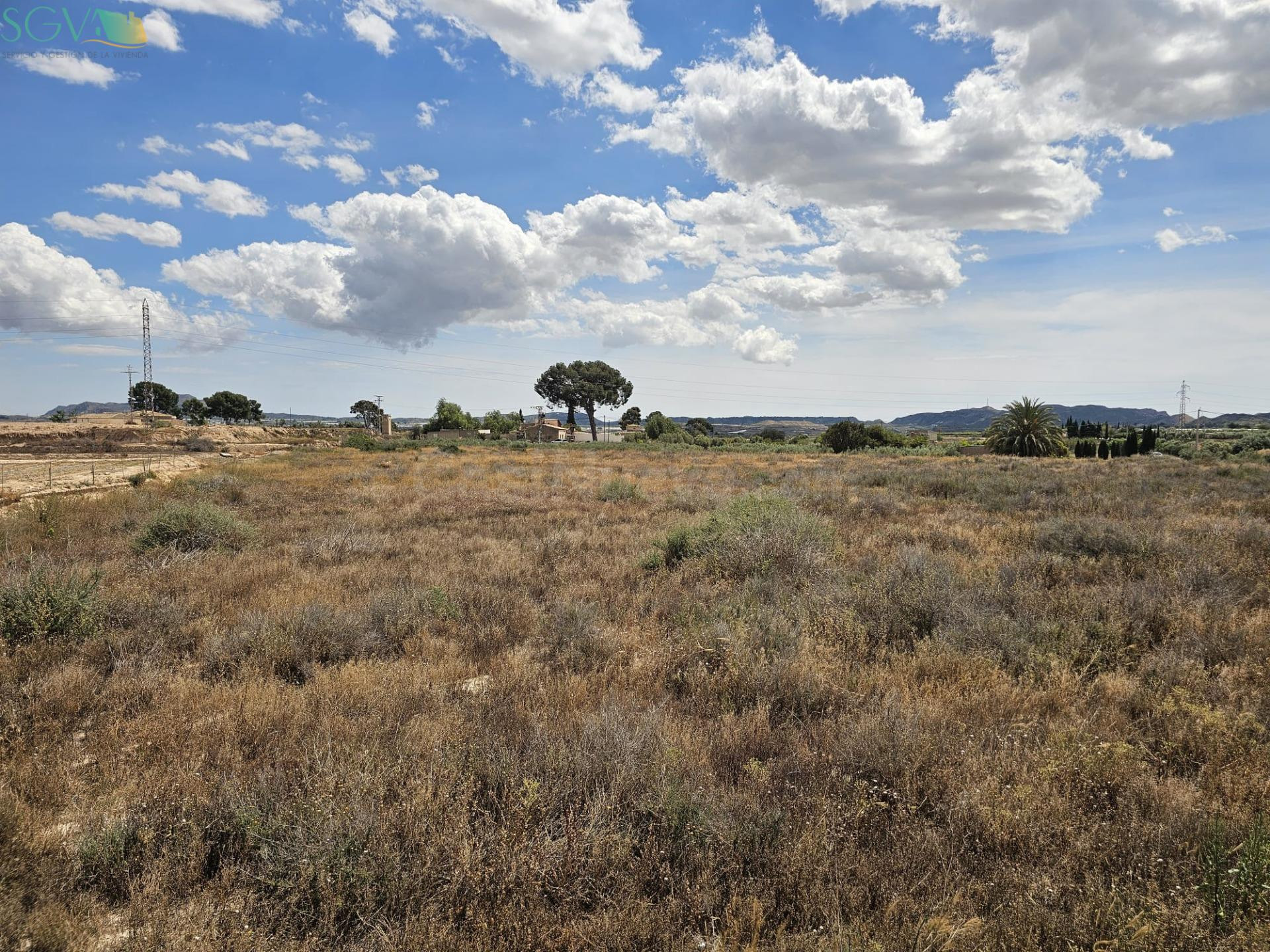 SE VENDE PARCELA EN EL ALJAU - ASPE (ALICANTE) - foto 3