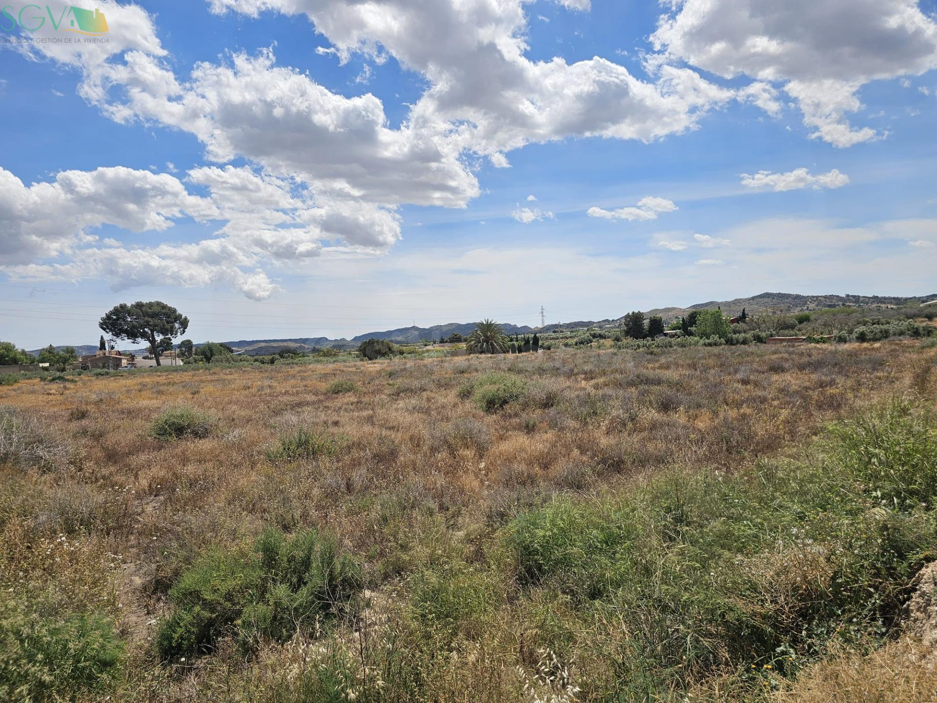 SE VENDE PARCELA EN EL ALJAU - ASPE (ALICANTE) - foto 4