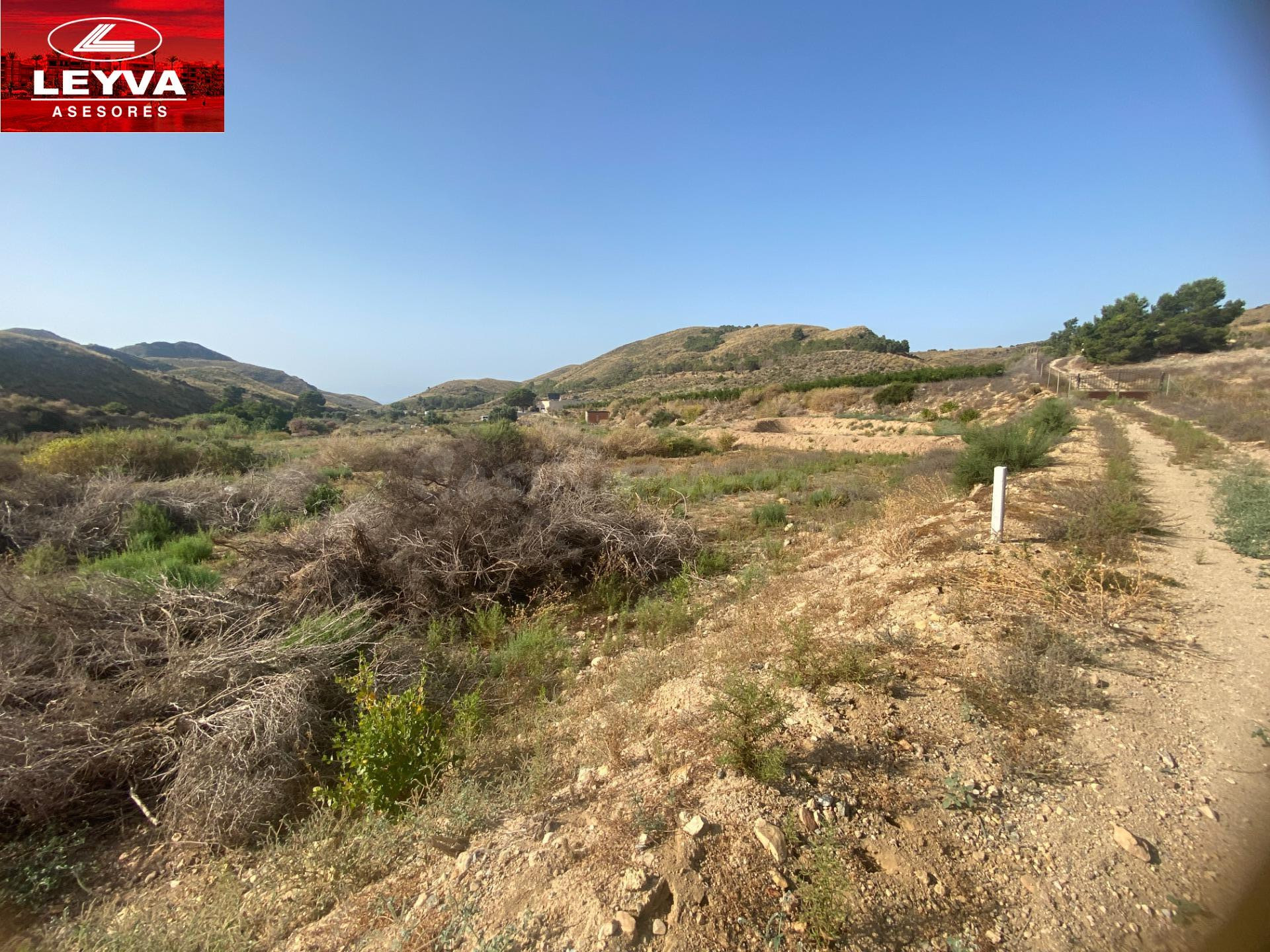 SE VENDEN DOS PARCELAS RUSTICAS DE 80000 Y 40000 M2 EN EL JU - foto 3