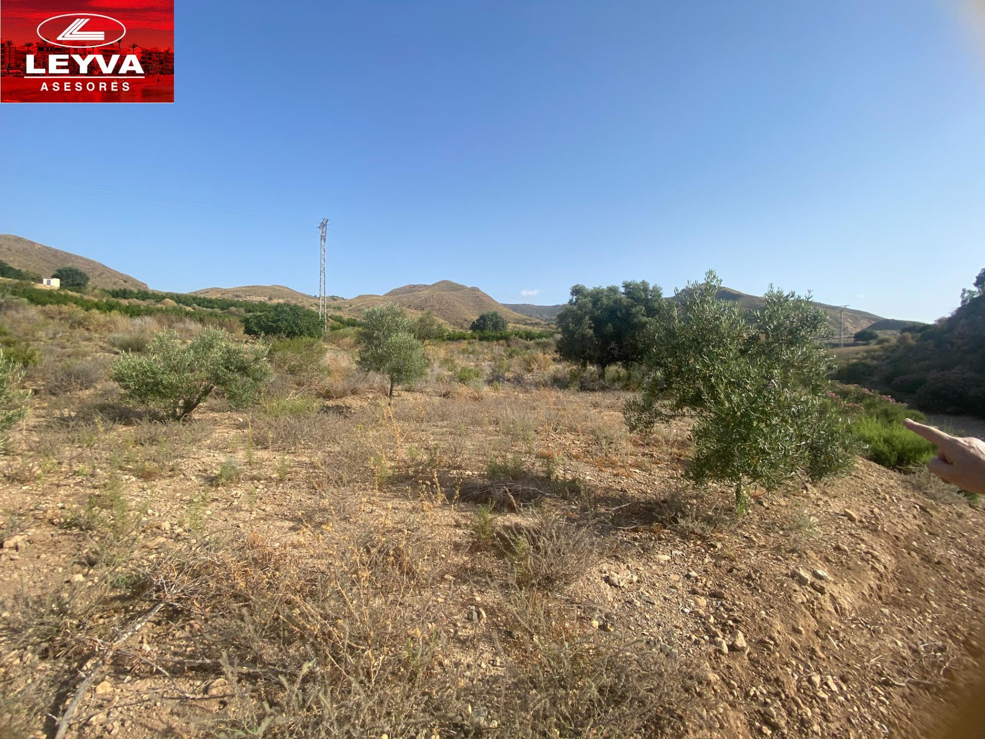 SE VENDE TERRENO RURAL DE 15000 M2 EN RAMBLA DE LOS MORENOS 