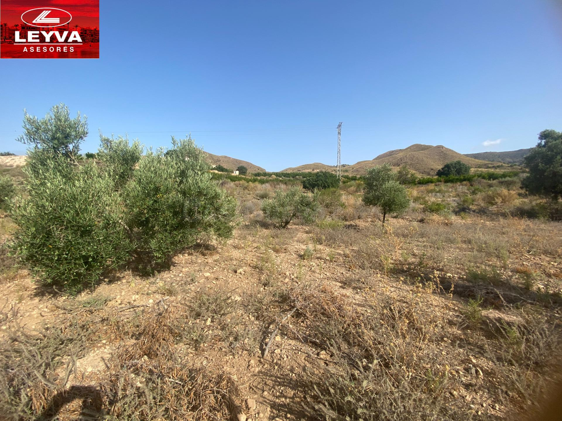 SE VENDE TERRENO RURAL DE 15000 M2 EN RAMBLA DE LOS MORENOS  - foto 2