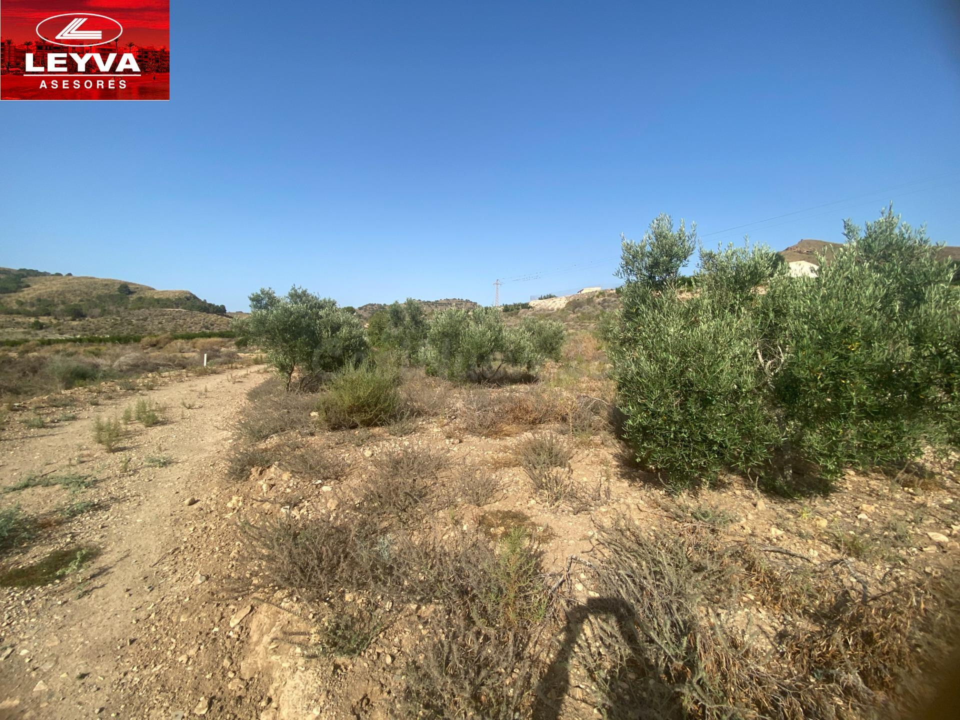 SE VENDE TERRENO RURAL DE 15000 M2 EN RAMBLA DE LOS MORENOS  - foto 3