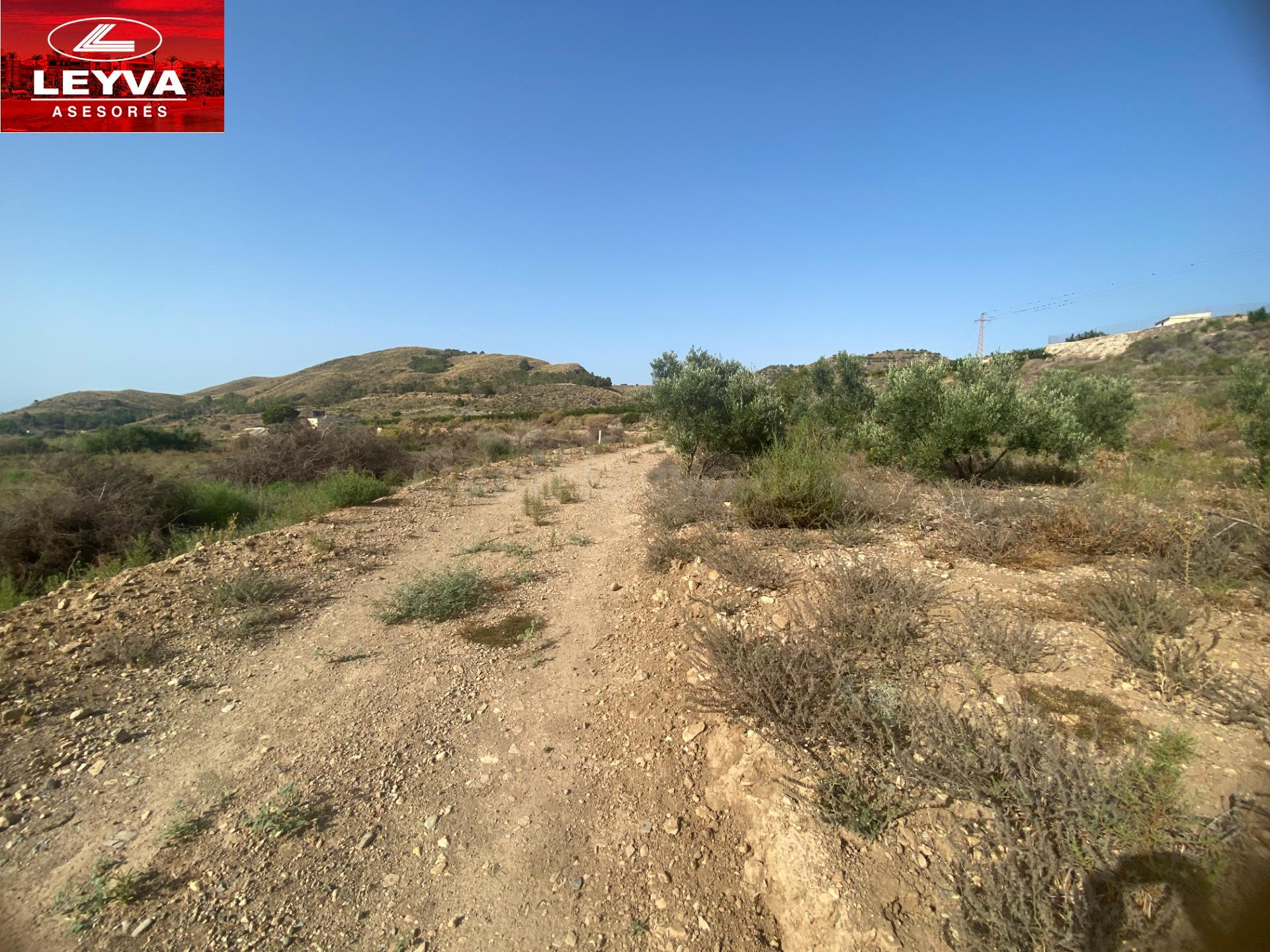 SE VENDE TERRENO RURAL DE 15000 M2 EN RAMBLA DE LOS MORENOS  - foto 4