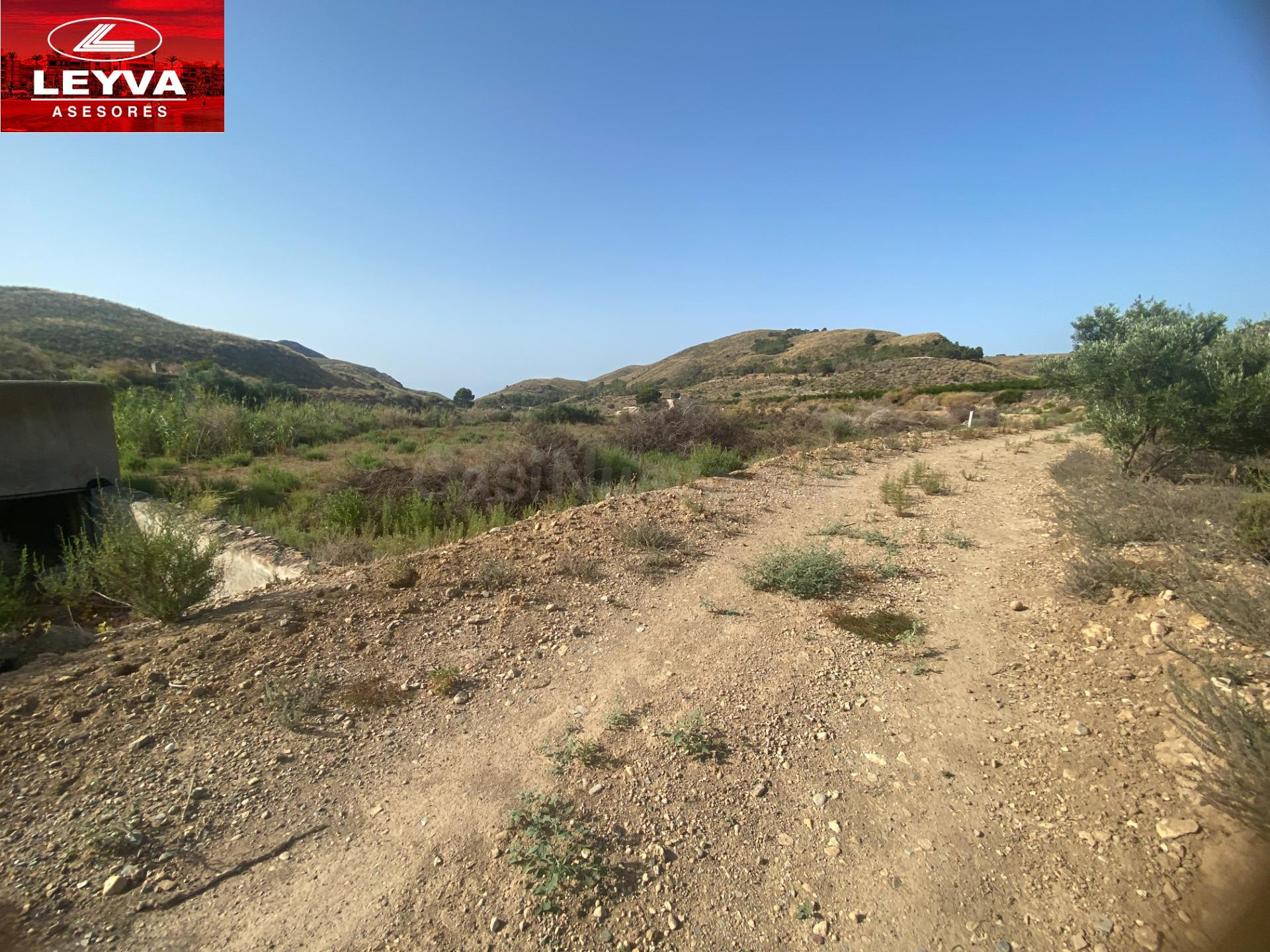 SE VENDE TERRENO RURAL DE 15000 M2 EN RAMBLA DE LOS MORENOS  - foto 5