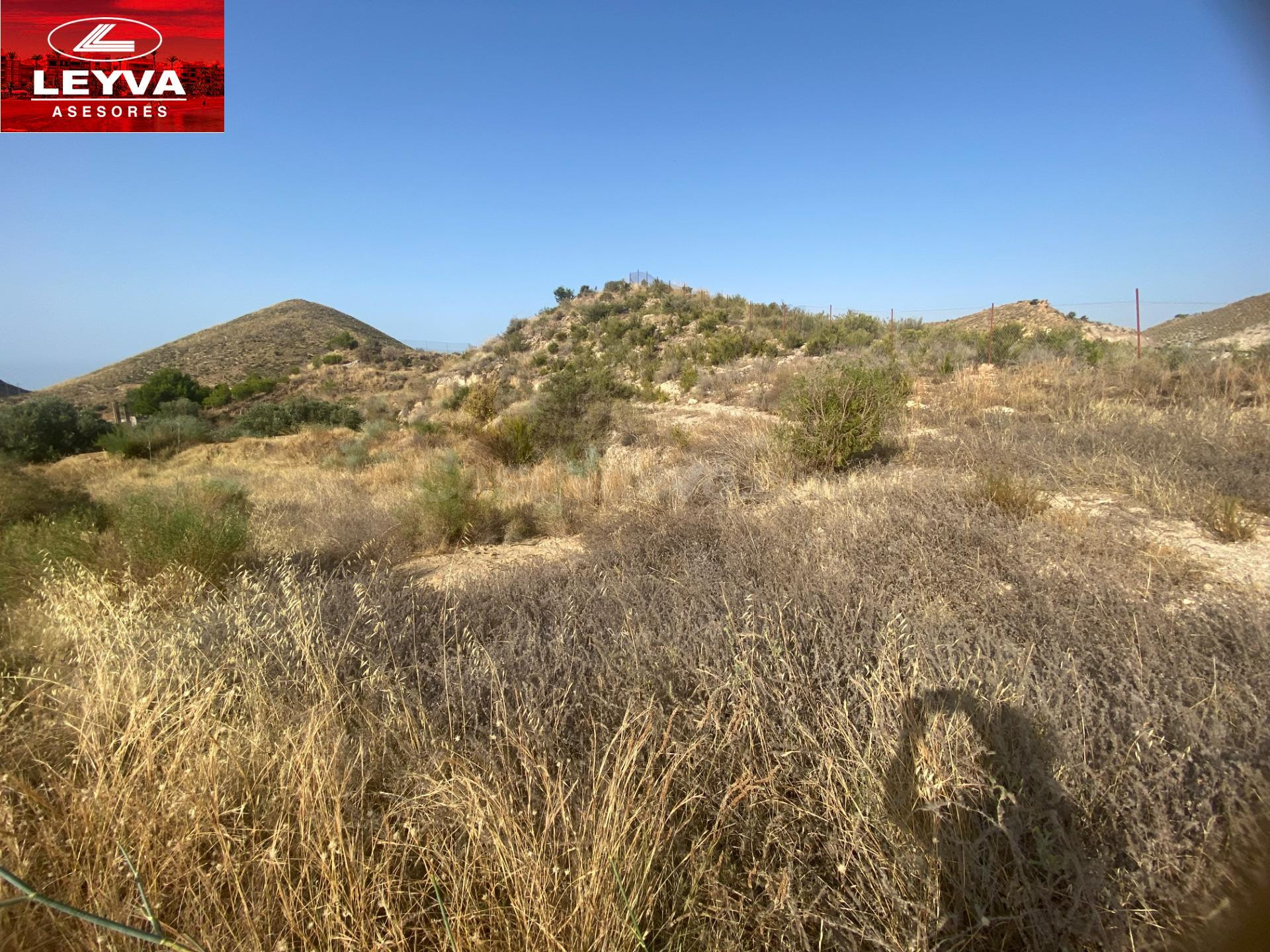 TERRENO RUSTICO DE 20000 M2 EN VENTA CON 3500 M2 URBANIZABLE - foto 2