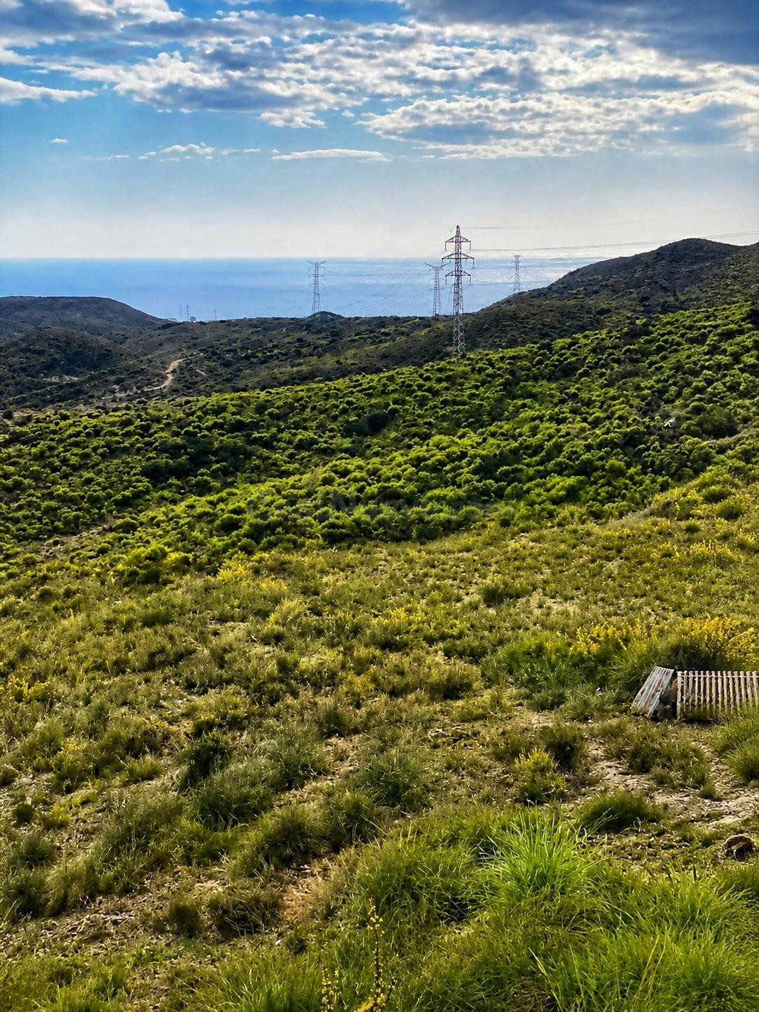 PARCELA RÚSTICA CON VISTAS AL MAR EN VALENTISCO – MAZARRÓN