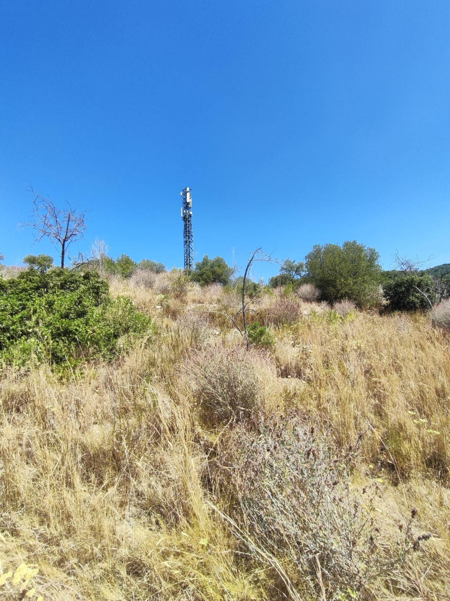 Terreno en venta en l'Aleixar - foto 2