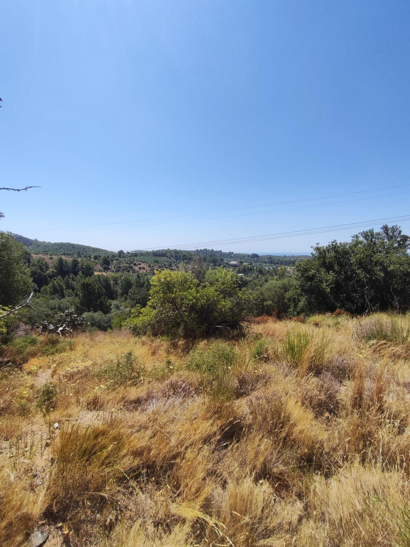 Terreno en venta en l'Aleixar - foto 4