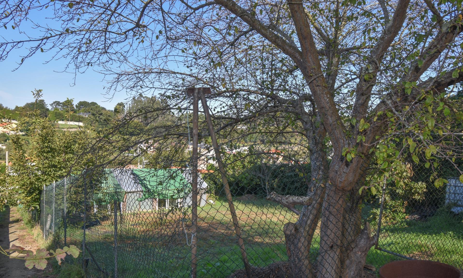 PARCELA EDIFICABLE DE 1215  M2 EN ZONA DROZO - foto 3
