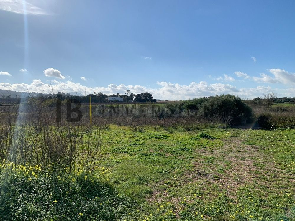 Terreno rural en venta - Manacor Centro - foto 2