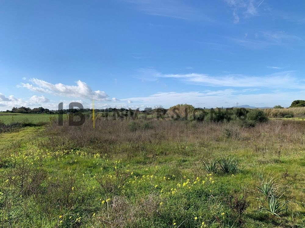 Terreno rural en venta - Manacor Centro - foto 5