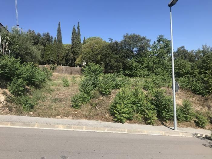 Solar en venta - Santa Eulària des Riu - foto 3