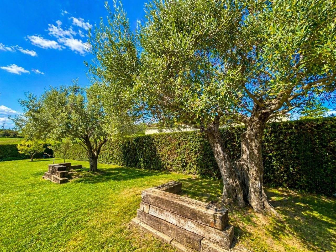 Encantadora casa a 4 vientos con gran parcela y vistas al Mo - foto 4