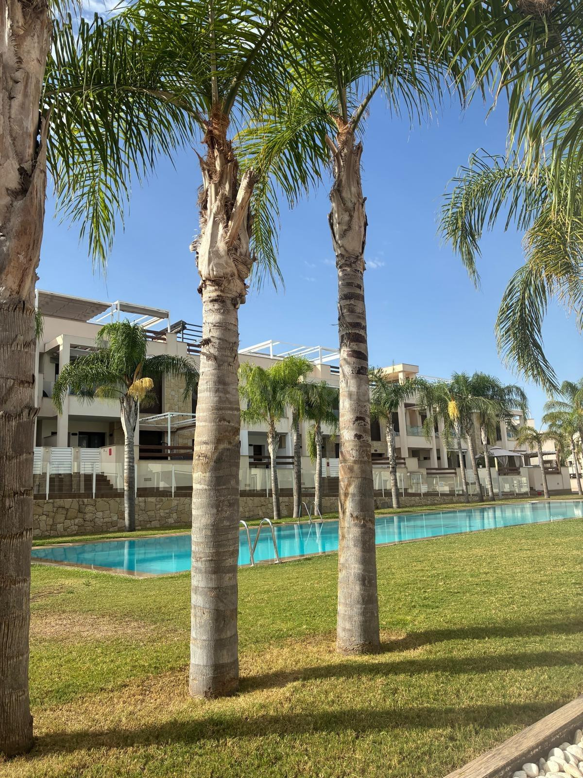 PLANTA BAJA DE 2 DORMITORIOS CON PISCINA COMUNITARIA Y GARAJE - ZONA TORREVIEJA, LOS BALCONES -
