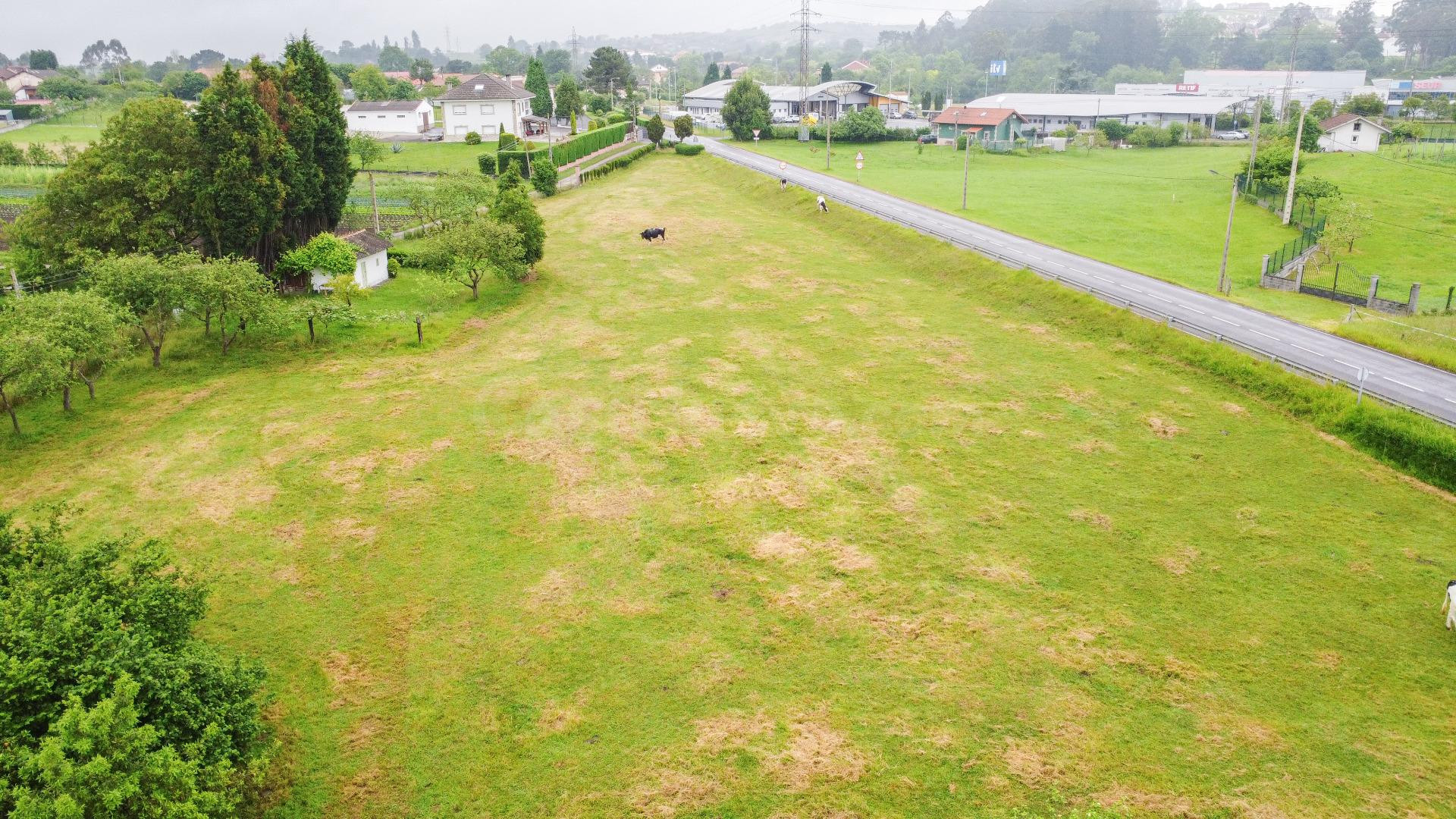 Terreno urbanizable en Pruvia para 4 viviendas unifamiliares