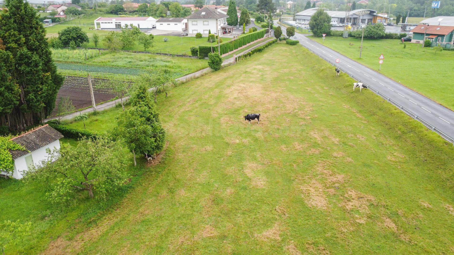 Terreno urbanizable en Pruvia para 4 viviendas unifamiliares - foto 5