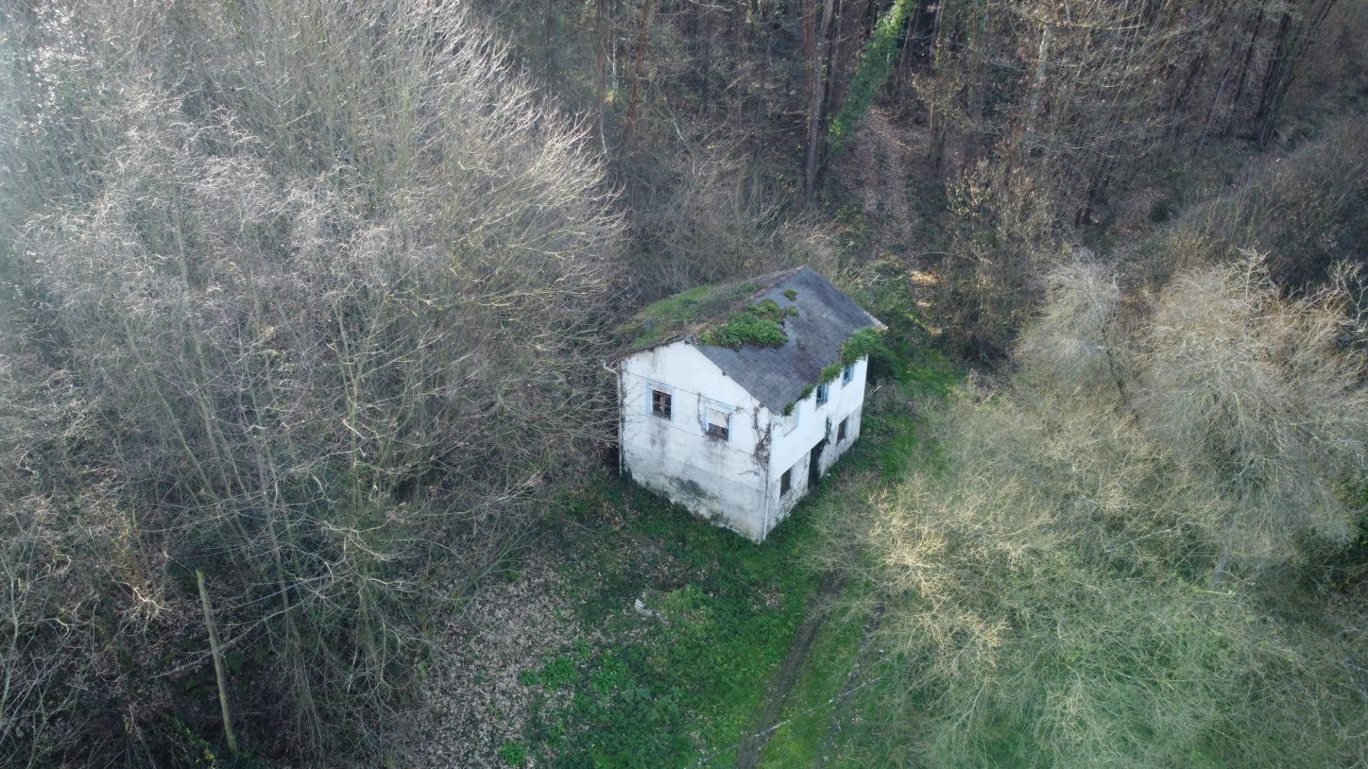 Oportunidad real: casa con parcela para rehabilitar en Tineo