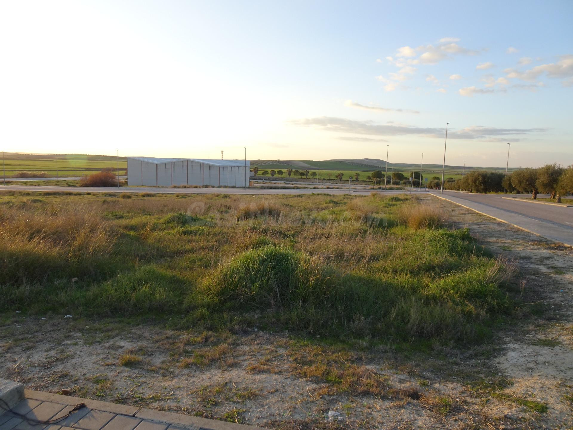 Terreno Industrial en Marchena: Zona P.l. Pemar - foto 3