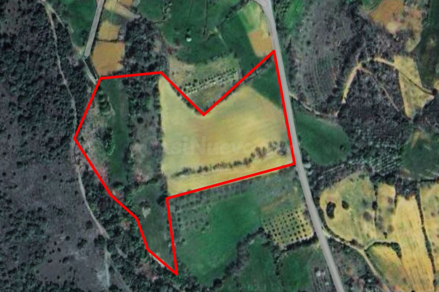 Terreno rural en venta - Castrelos e Carrazedo