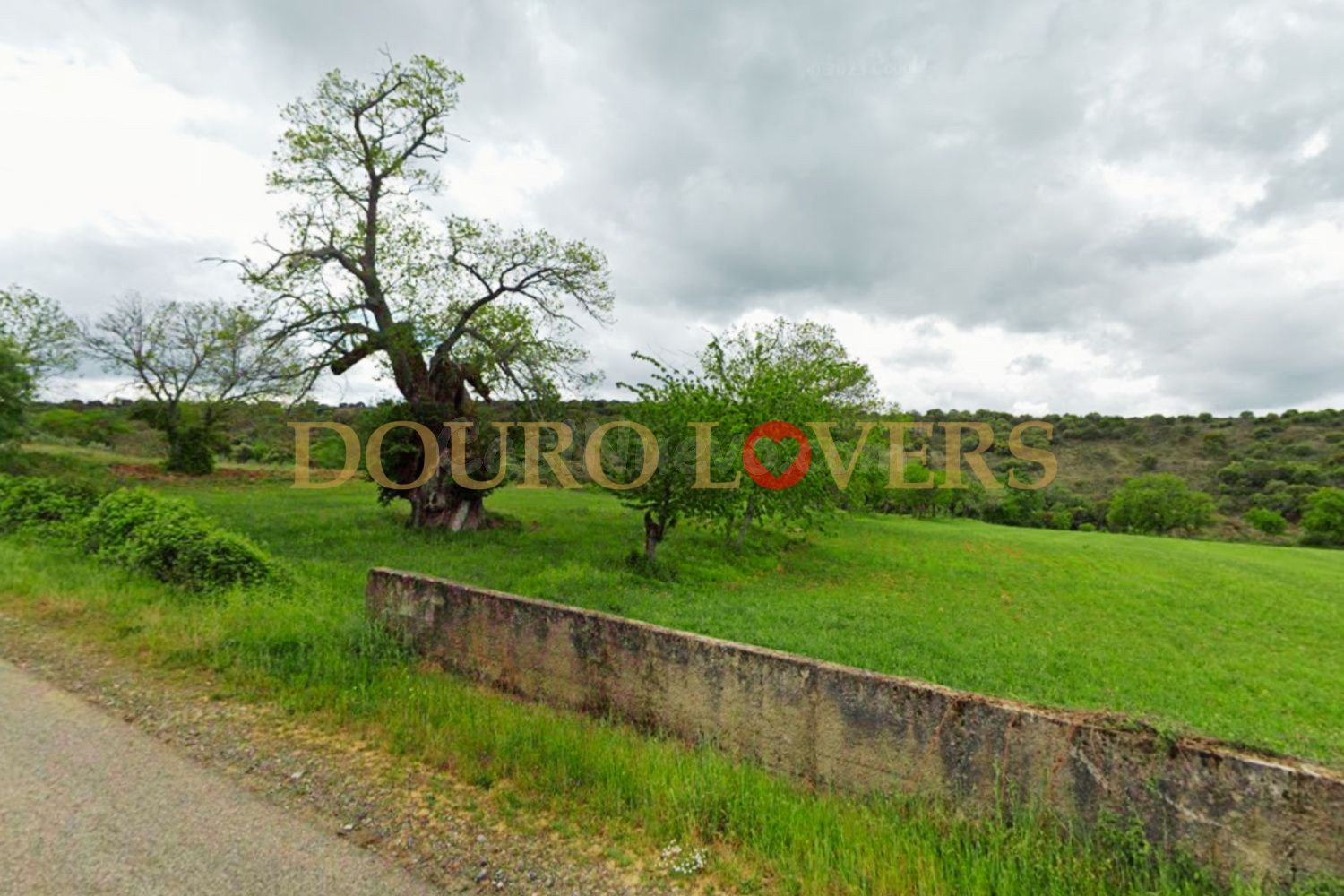 Terreno rural en venta - Castrelos e Carrazedo - foto 3