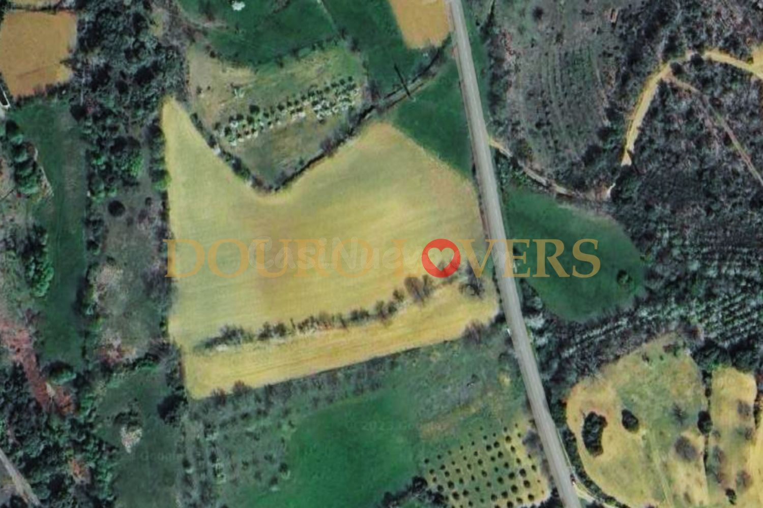 Terreno rural en venta - Castrelos e Carrazedo - foto 5